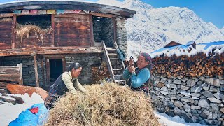 Travel Guide to Manaslu Circuit Trek amp Larkya La Pass  Trekking in the Himalayas of Nepal [upl. by Rehpotsihrc]