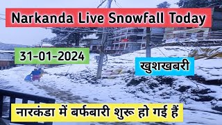 Narkanda live snowfall today 31012024 narkanda live snowfall today shimla live snowfall today [upl. by Arrac]