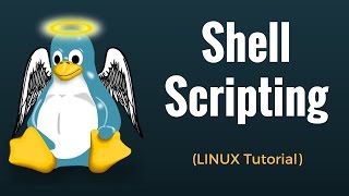 Shell Scripting Tutorial in Linux [upl. by Lacsap]