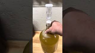 Traditional mead using the Craft a Brew meadmaking kit [upl. by Ynatterb]