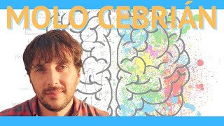 Entrevista a Molo Cebrián Entiende tu mente y Saliendo del círculo  Podcast El Estoico [upl. by Franckot170]