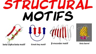 Structural motifs of protein [upl. by Bahner]