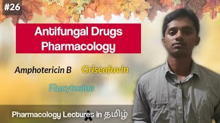 26 Pharmacology of Antifungal Drugs in தமிழ்  Amphotericin B  Griseofulvin  Flucytosine [upl. by Trebbor30]