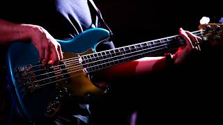 Primus  Dmv bass backing track [upl. by Dnob]