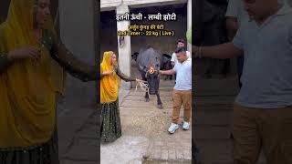 Nanhe Nanhe Ghungroo Farmani Naaz I Haryanvi Song  2 Balka ki maa  Chandi ka Naada [upl. by Lurline]