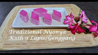 Traditional Nyonya Kuih Lapis 9 Layered [upl. by Alicia302]