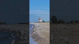 Headlands State Park Mentor OH [upl. by Laurens]