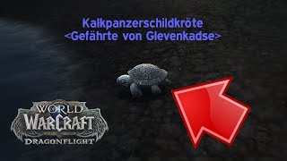 Kalkpanzerschildkröte  WoW Dragonflight Secret Haustier Guide  World of Warcraft Kampfhaustier [upl. by Repinuj748]