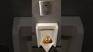 Poop in the Urinal [upl. by Ihc672]