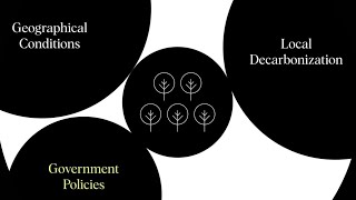 Supply and demand in the Voluntary Carbon Market [upl. by Bethina809]