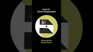 Leeni amp Danilo Kupfernagel  Interminable Gorge Remix [upl. by Annawit]