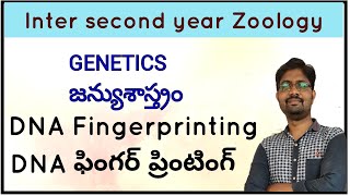 DNA Fingerprinting  DNA ఫింగర్ ప్రింటింగ్ [upl. by Sidwell]