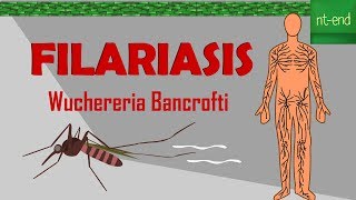 LIFE CYCLE OF Wuchereria Bancrofti biology animals filariasis ntend6435 [upl. by Culhert684]