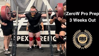 Squat PB amp Deadlift Mishap  ZeroW Pro Prep  Episode 9 [upl. by Ettedo]