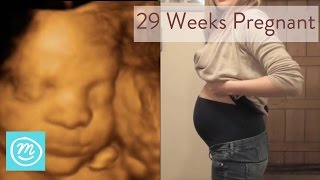 29 Weeks Pregnant What You Need To Know  Channel Mum [upl. by Eolhc]