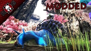 ARK  PUGNACIA  A RIDEABLE ACHATINA amp OTHER AMAZING TAMES Ep 9 Sons of AnARKy [upl. by Nomis64]