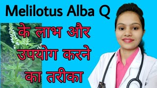 Melilotus Alba Homeopathic medicine Uses Review Side effects in Hindi [upl. by Elenahc]