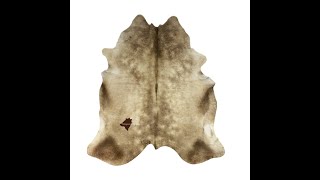 Cowhide rug Kuhfell Peau de vache pelle di mucca 1036 [upl. by Arahs]