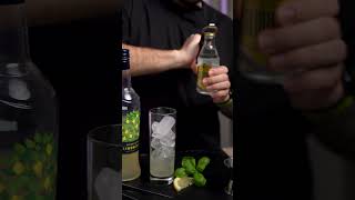 Limoncello Longdrink 🍋 limoncello tonic [upl. by Nevad]