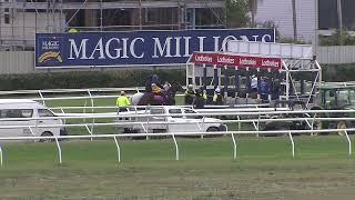 Heat 18  Doomben Jumpouts 08112023 [upl. by Nappy]