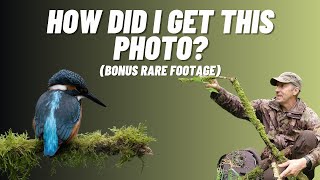 Creating the Perfect Setup for Kingfisher Photos Plus Rare Footage and Channel Update [upl. by Kalbli803]