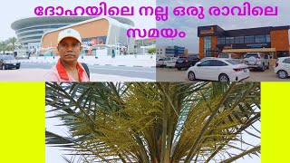 Qatar World cup stadiumദോഹയിലെ സ്റ്റേഡിയം [upl. by Marilou]