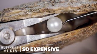 Why South Sea Pearls Are So Expensive  So Expensive  Business Insider [upl. by Siclari]