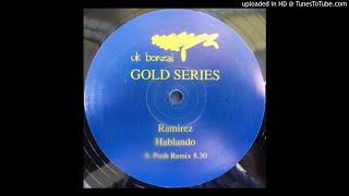 A  Ramirez  Hablando Push Remix [upl. by Arrio]