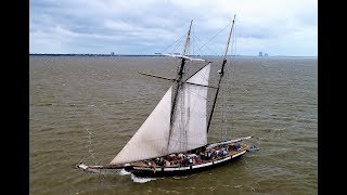 The Tall Ship LYNX [upl. by Ulrikaumeko]