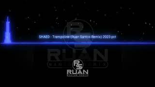 SHAED  TRAMPOLINE RUAN SANTOS REMIX 2023 PVT [upl. by Donia]