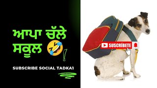 Dog School ਆਪਣੇ ਬੱਚੇ ਵੀ ਪੜਨ ਲਈ ਤਰਸਦੇ ਤੇ ਇਹ [upl. by Hogen]