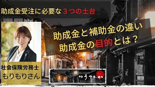 助成金の目的、補助金との違い、助成金受給に必要な３つの土台 [upl. by Eniarrol]