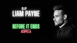 Liam Payne Before It Ends Acapella  Vocals Only [upl. by Akemaj]