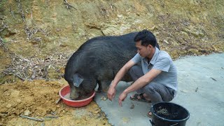 3 Steps to Working on a Farm Day  Luu Linh Family [upl. by Eenel111]