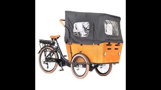 Three wheels electric cargo bike with bafang mid drive 36Voltage motor JLM31001 [upl. by Akehs]