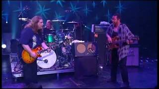 Govt Mule  Beautifully Broken Warren Haynes [upl. by Ohploda]