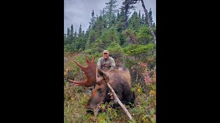 2024 Newfoundland Moose Hunt  Oceanside Country Lodge tikka leupoldoptics sitka [upl. by Darken381]