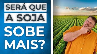 RELATÓRIO DO USDA SERÁ QUE O PREÇO DA SOJA CONTINUA SUBINDO [upl. by Leonerd524]