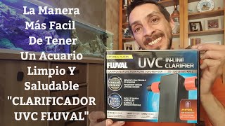 🔵 Clarificador quotUVC FLUVALquot La Mejor Manera De Mantener Tu Acuario Estable Y Saludable Acuarios MB [upl. by Baum]