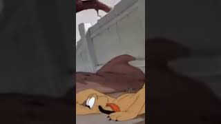 disney poluto cartoon cartoon cartoonshorts disney pluto cartoon  over 1 hours nonstop [upl. by Sanfourd892]