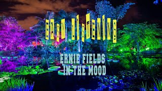 ERNIE FIELDS  IN THE MOOD [upl. by Eislrahc]