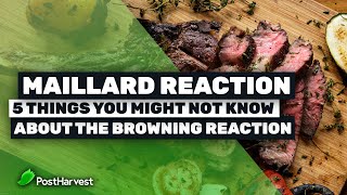 Maillard Reaction  5 Things You Might Not Know About The Browning Reaction [upl. by Lincoln522]