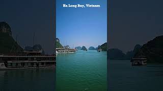 Ha Long Bay Vietnams Most Majestic Wonder halongbay shorts shortsfeed [upl. by Ferren]