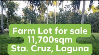 FARM LOT FOR SALE 11700sqm Sta Cruz Laguna [upl. by Aziar140]