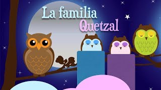 CUENTOS PARA DORMIR NIÑOS 37 años  La familia Quetzal [upl. by Verna]