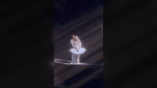 The Swan Lake ending scene Marianela Nunez Kimin Kim [upl. by Lanna]