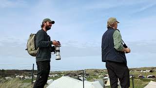 Vogels kijken in het vroege voorjaar op Vlieland [upl. by Nidnerb]