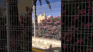 🌴🚙 Torrevieja streets Torreta II urbanization Torrevieja [upl. by Katherina]