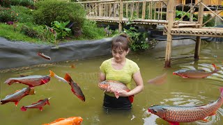 Harvesting Fishing At Fish Pond Goes To Market Sell  Cook Delicious Fish Hotpot [upl. by Dlared698]