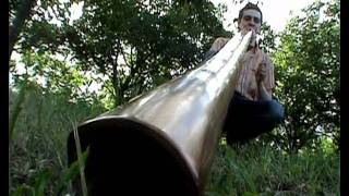 DIDGERIDOO  oboreal play on didgelement  tree to flood [upl. by Eiloj]